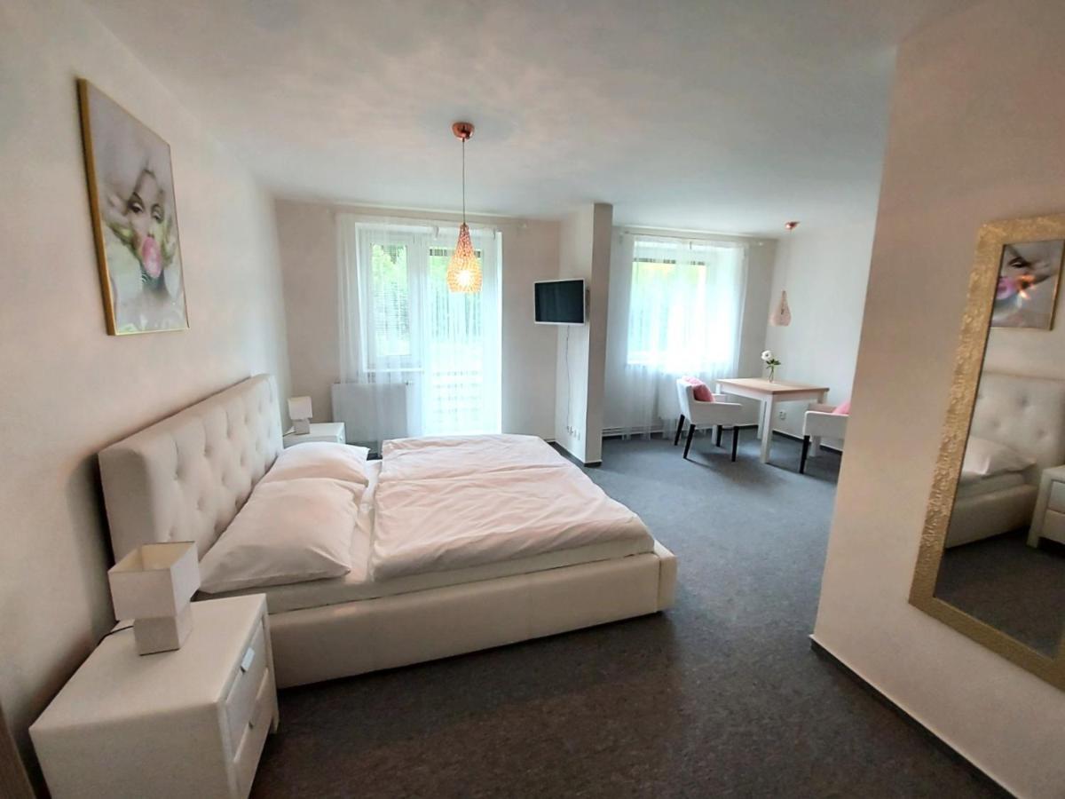 The Meetinka Apartments Jeseník Eksteriør bilde